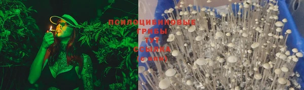ПСИЛОЦИБИНОВЫЕ ГРИБЫ Белокуриха
