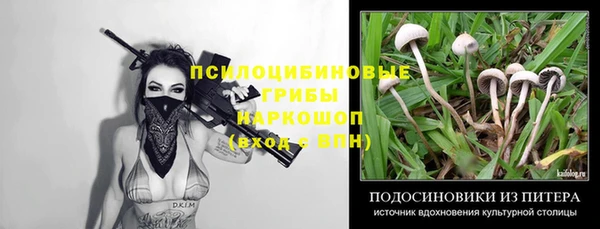ПСИЛОЦИБИНОВЫЕ ГРИБЫ Белокуриха