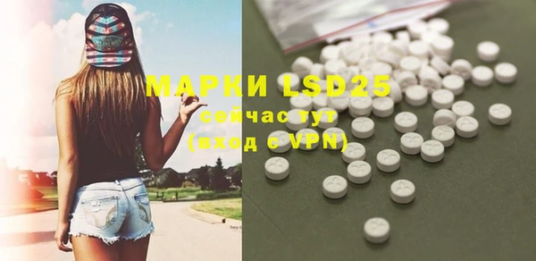 ПСИЛОЦИБИНОВЫЕ ГРИБЫ Белокуриха