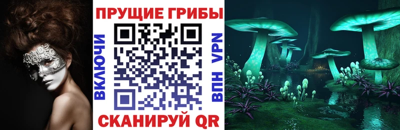 магазин маркетплейс Telegram Галлюциногенные грибы прущие грибы Валуйки