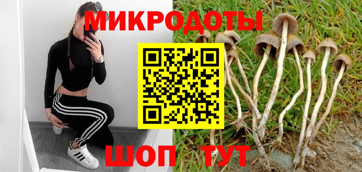 Галлюциногенные грибы MAGIC MUSHROOMS  магазин  наркотиков  Валуйки  Галлюциногенные грибы мицелий  Вход с VPN 