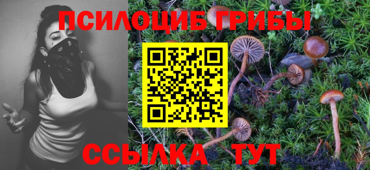 Галлюциногенные грибы Psilocybine cubensis Валуйки